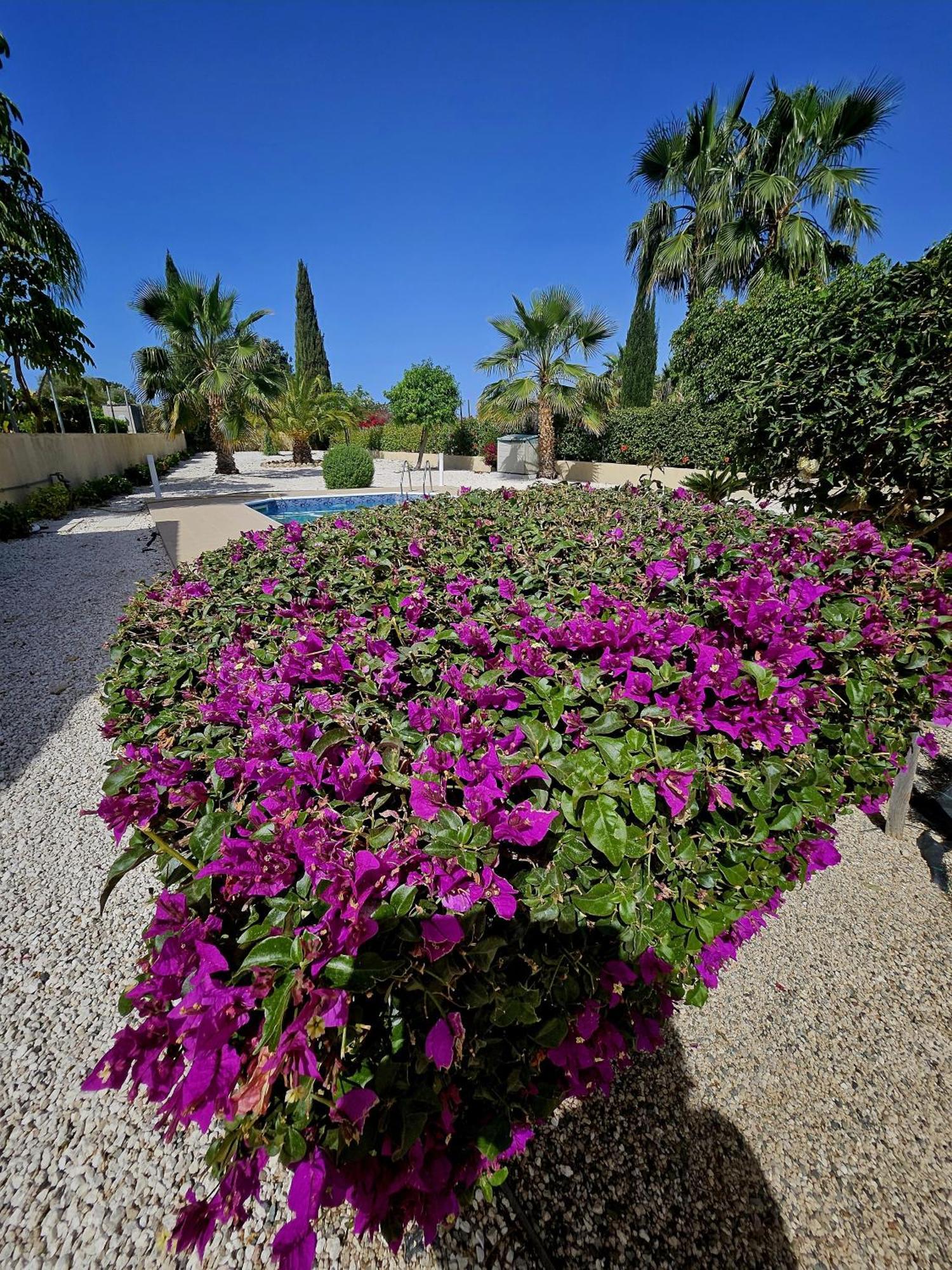 Modern 3 Bedroom Villa, Pool And Close To Golf Course Willa